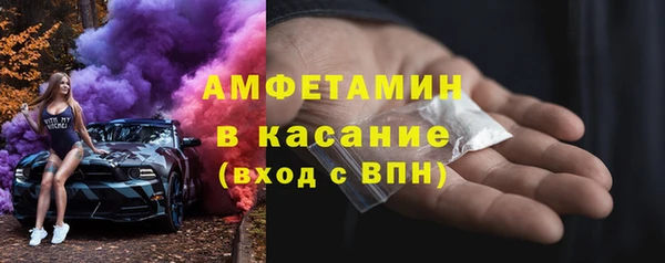 амф Горняк
