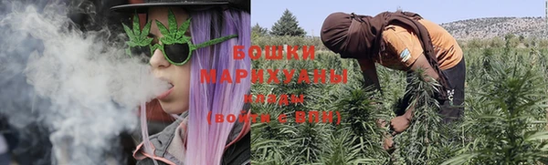 гашик Михайлов